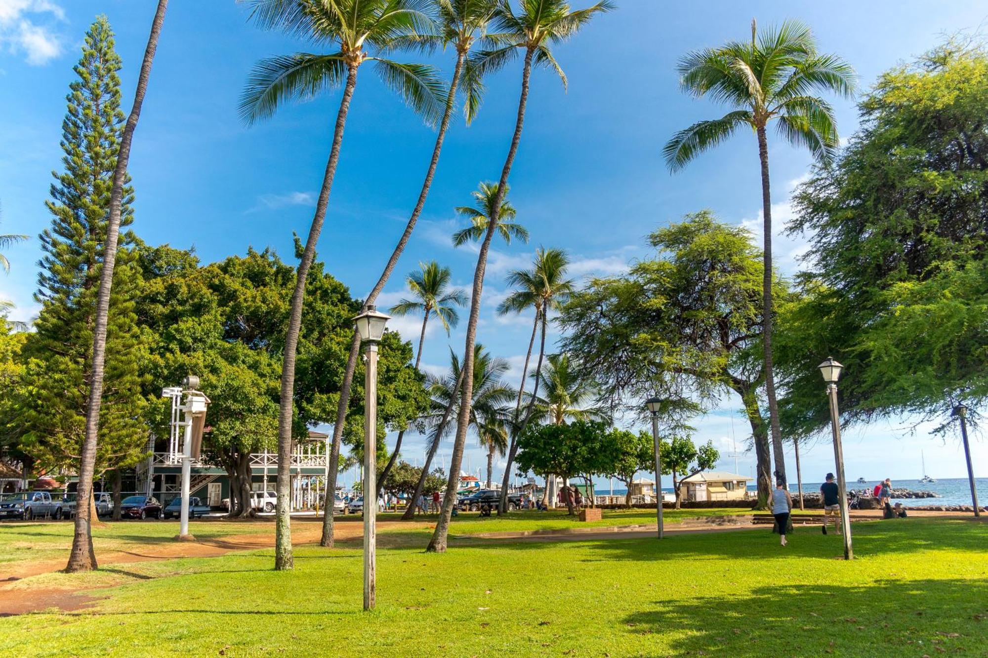 Апартаменти Paki Maui 222 Napili-Honokowai Номер фото